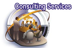 Consulting Services
